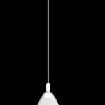 Eden Control Cath